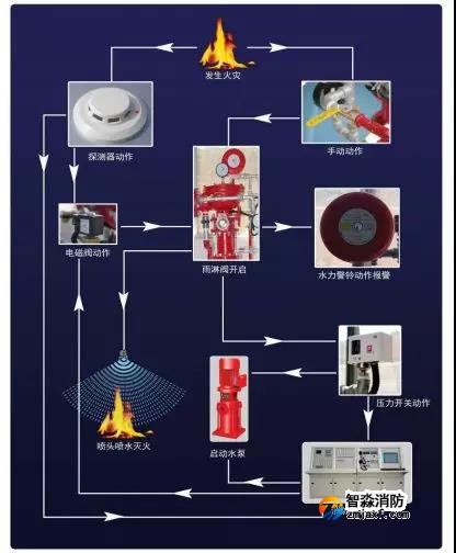 1644298911263888.jpg 2.jpg