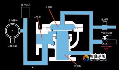 1644299221111138.jpg 26.jpg