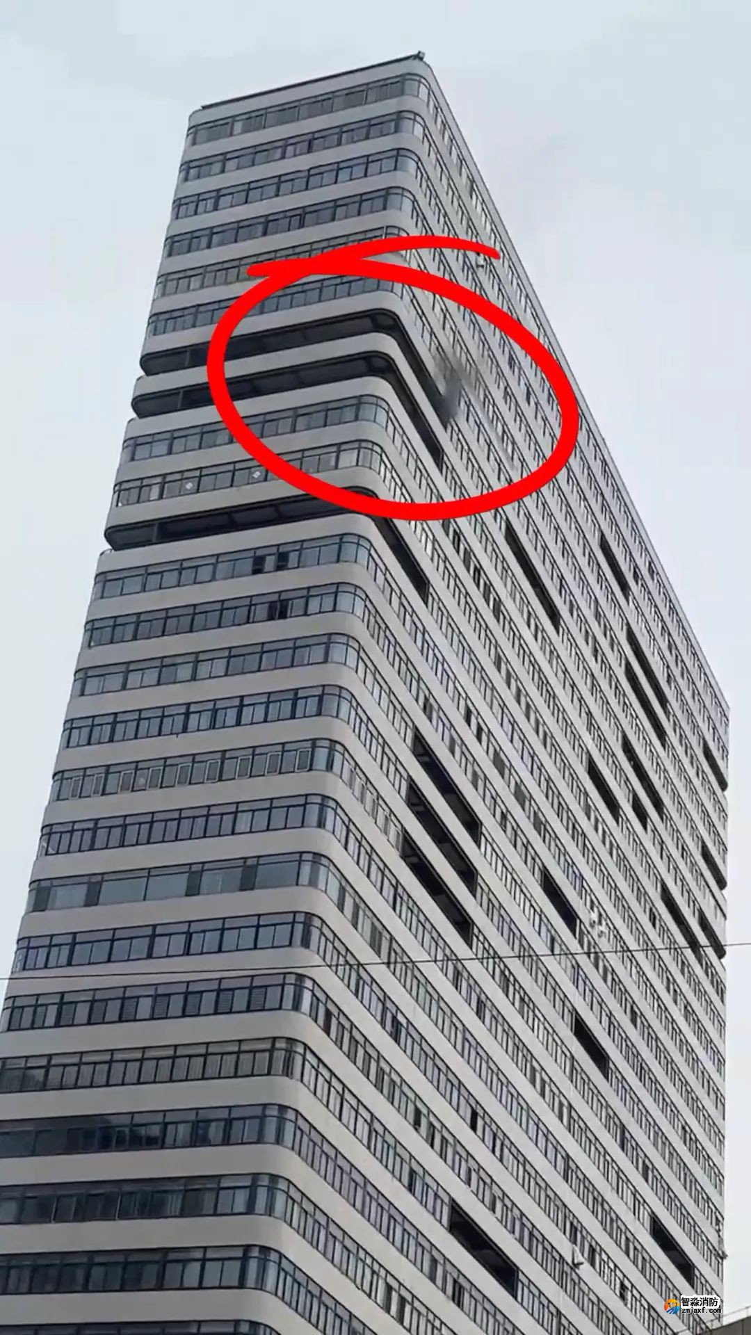 1649383150766321.jpg 1649383150766321.jpg