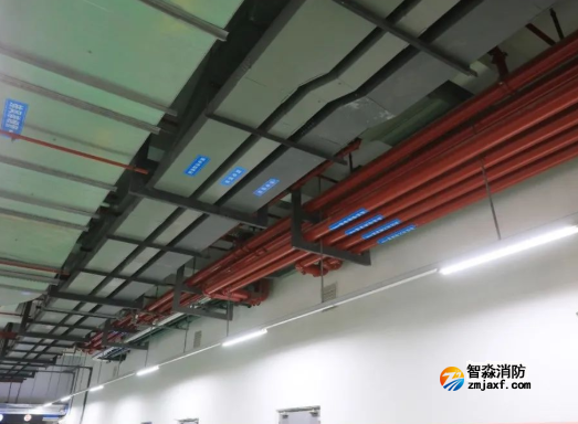 1665043617130172.png image.png